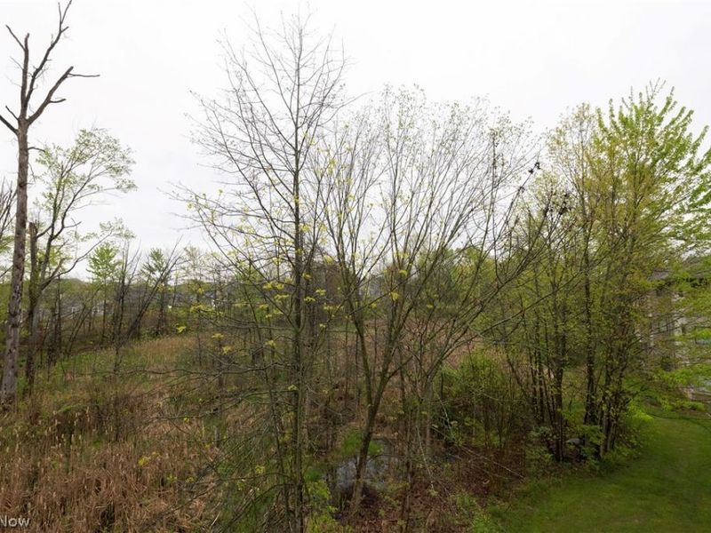3800 Rosemont Boulevard, Fairlawn, OH 44333 Photo 9