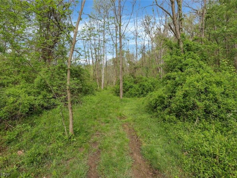 6879 Beard Price Road, Glouster, OH 45732 Photo 23