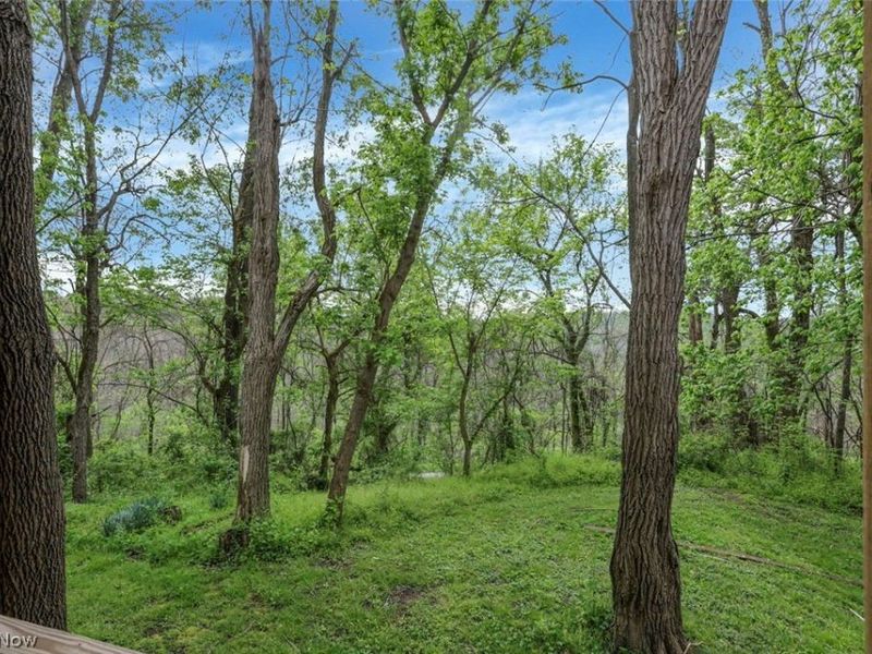 6879 Beard Price Road, Glouster, OH 45732 Photo 37
