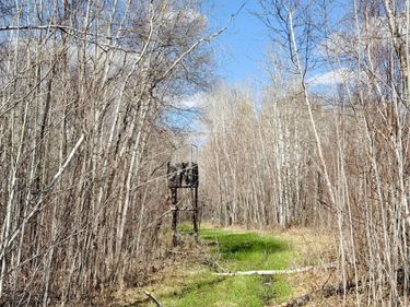 TBD Nature Avenue , Palisade, MN 56469