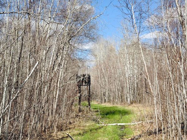 TBD Nature Avenue , Palisade, MN 56469