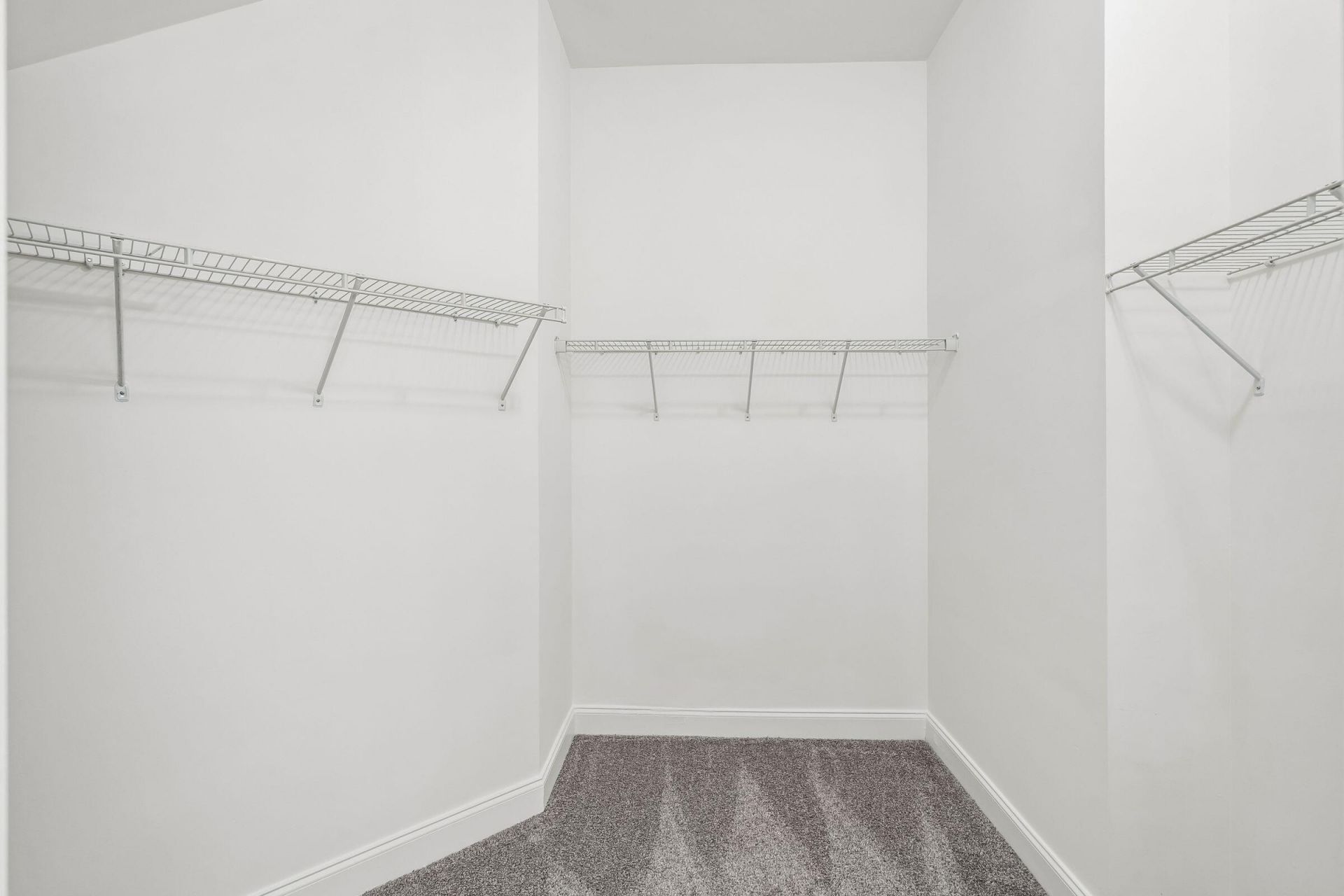 1631 Bee Balm Road Photo 35