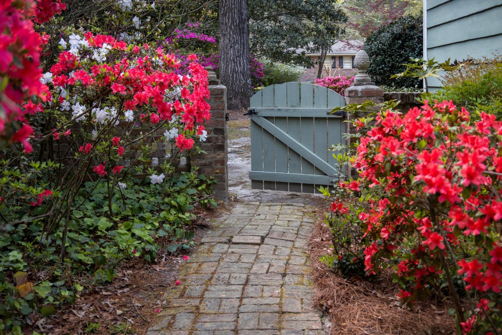 90 Gaillard Lane Photo 46