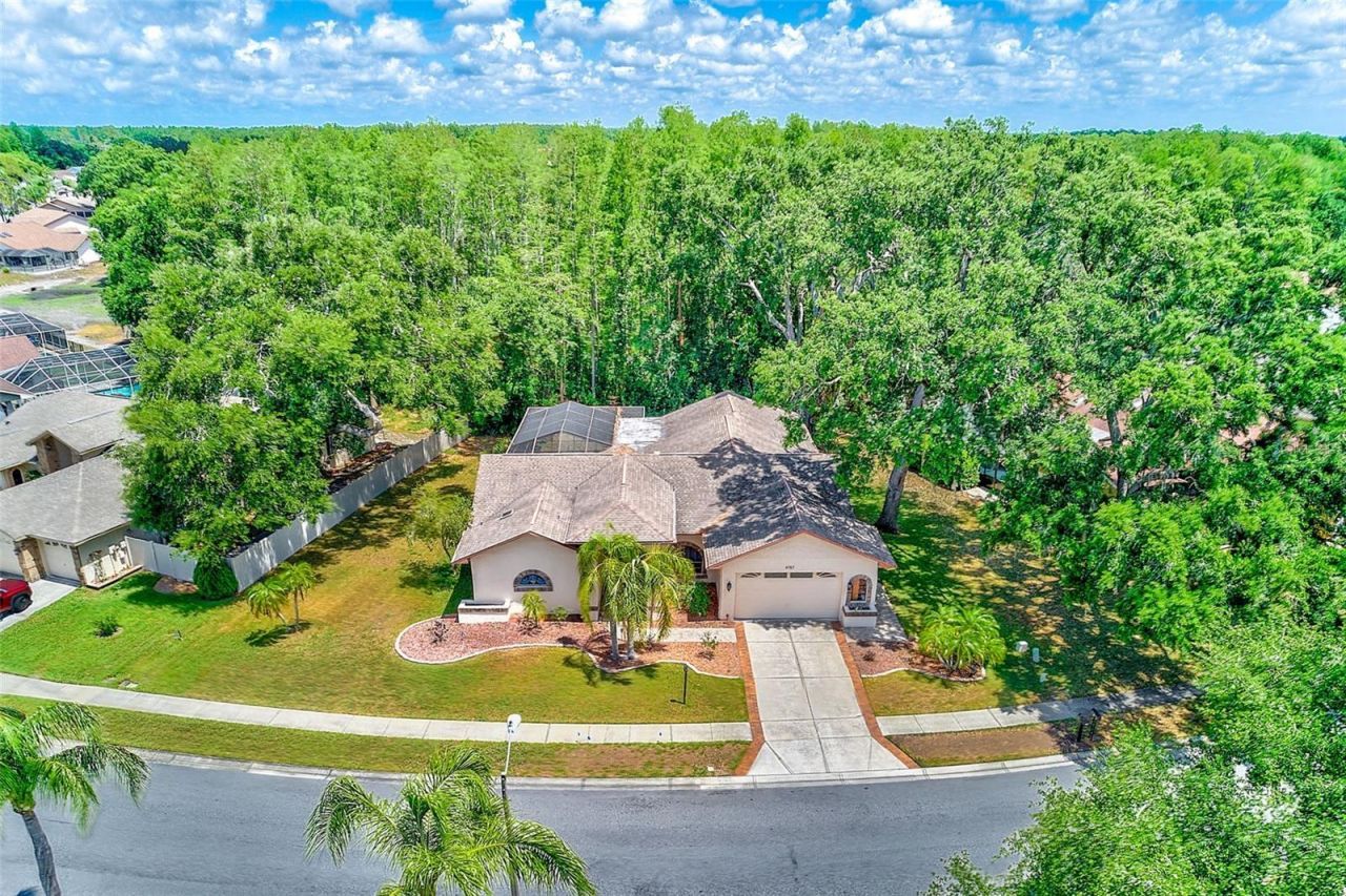 9757 Hermosillo Drive , New Port Richey, FL 34655 Photo