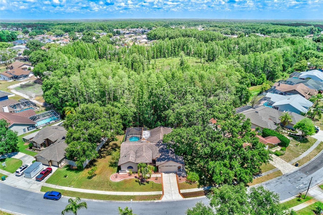 9757 Hermosillo Drive , New Port Richey, FL 34655 Photo
