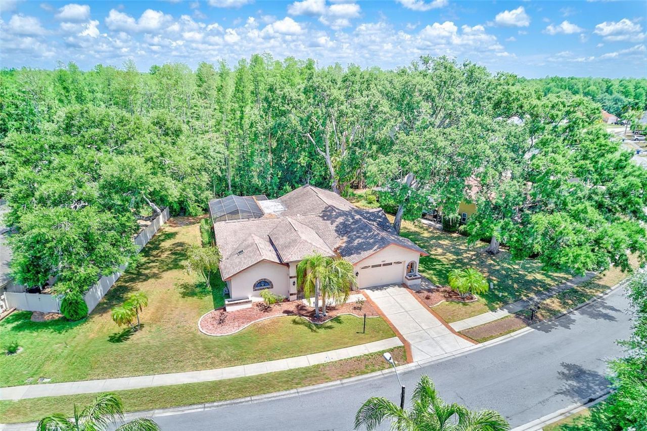 9757 Hermosillo Drive , New Port Richey, FL 34655 Photo