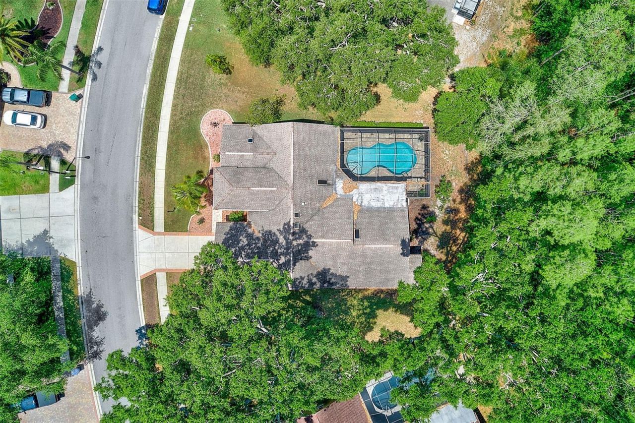 9757 Hermosillo Drive , New Port Richey, FL 34655 Photo