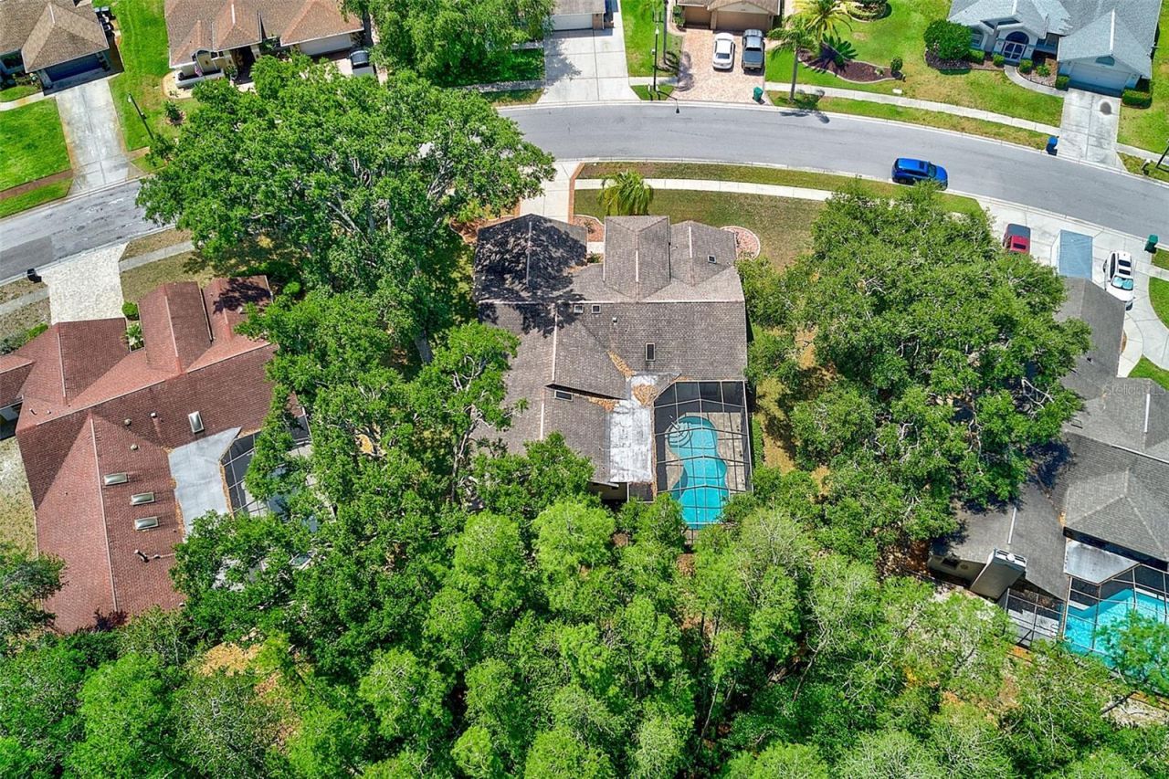 9757 Hermosillo Drive , New Port Richey, FL 34655 Photo