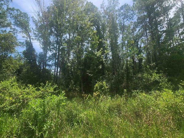 233 Rosewood, Georgetown, FL 32139