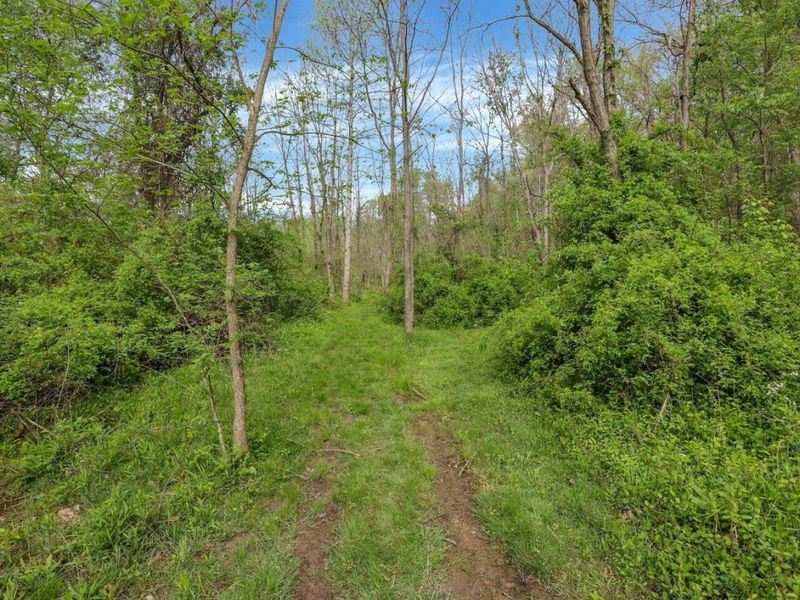 6879 Beard Price Road, Glouster, OH 45732 Photo 24