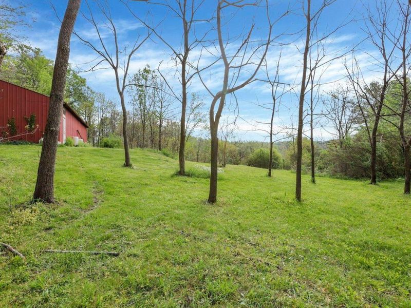 6879 Beard Price Road, Glouster, OH 45732 Photo 25