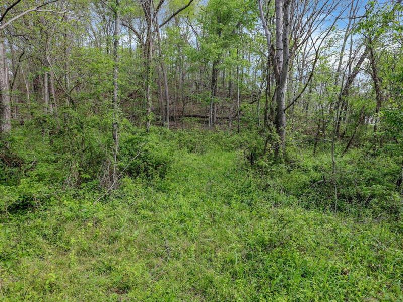 6879 Beard Price Road, Glouster, OH 45732 Photo 26