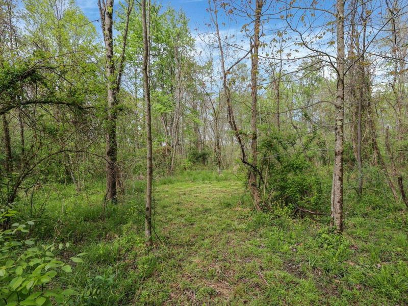 6879 Beard Price Road, Glouster, OH 45732 Photo 28