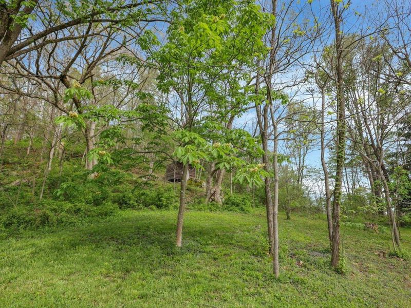 6879 Beard Price Road, Glouster, OH 45732 Photo 30