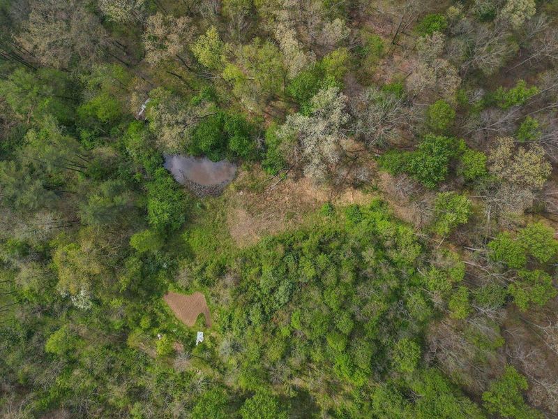 6879 Beard Price Road, Glouster, OH 45732 Photo 44