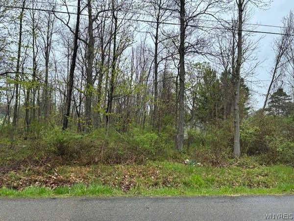 Argyle Avenue, Angola, NY 14006