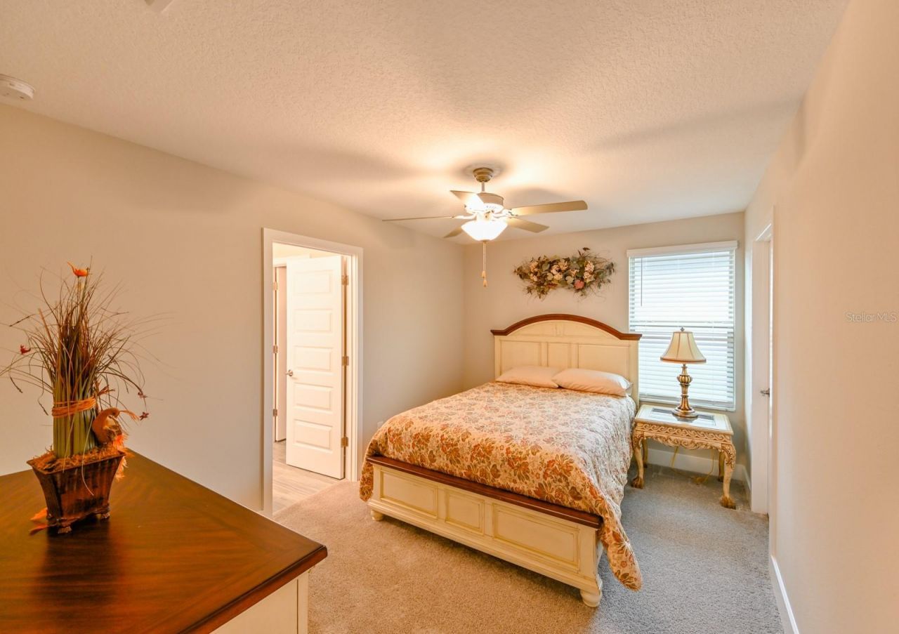 8625 Winning Fields Road , New Port Richey, FL 34655 Photo