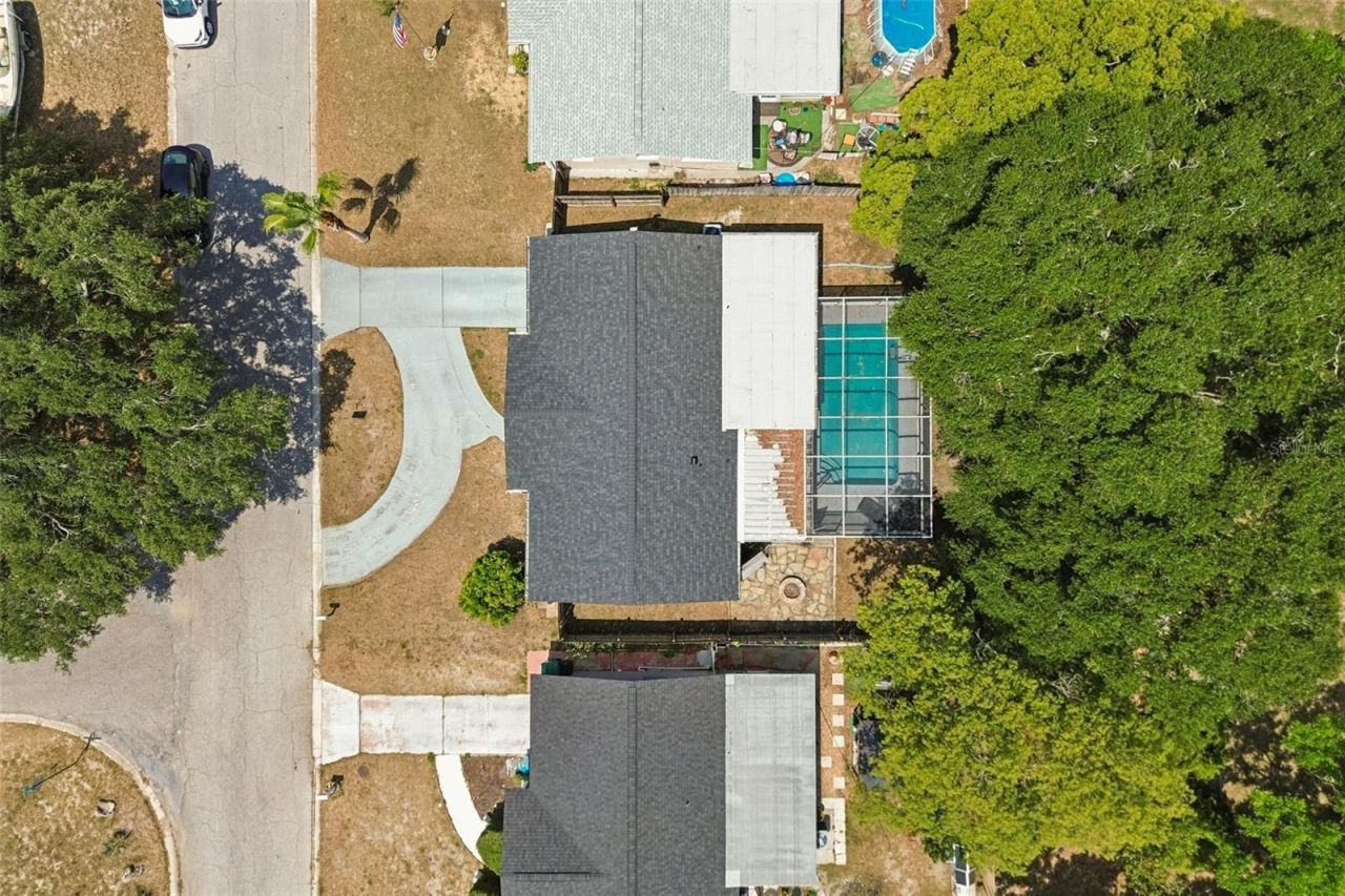 5553 Violet Drive , New Port Richey, FL 34652 Photo