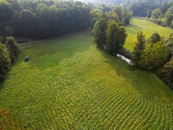 228 Holly Branch Drive, Ellijay, GA 30540