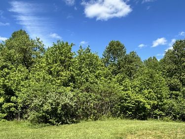88 Bryant Ln, Brodhead, KY 40409