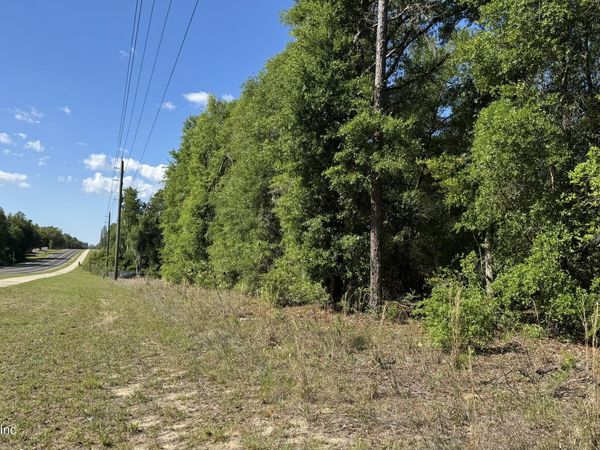 00 S COUNTY RD 315, Interlachen, FL 32148