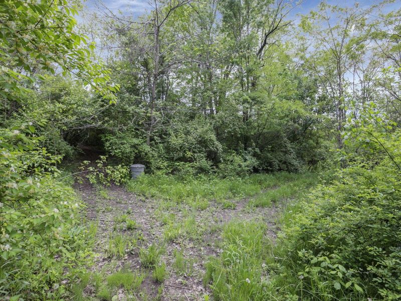 1955 Florine Drive, Grove City, OH 43123 Photo 10