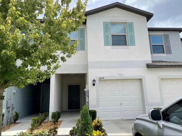 3810 CAT MINT STREET , TAMPA, FL 33619