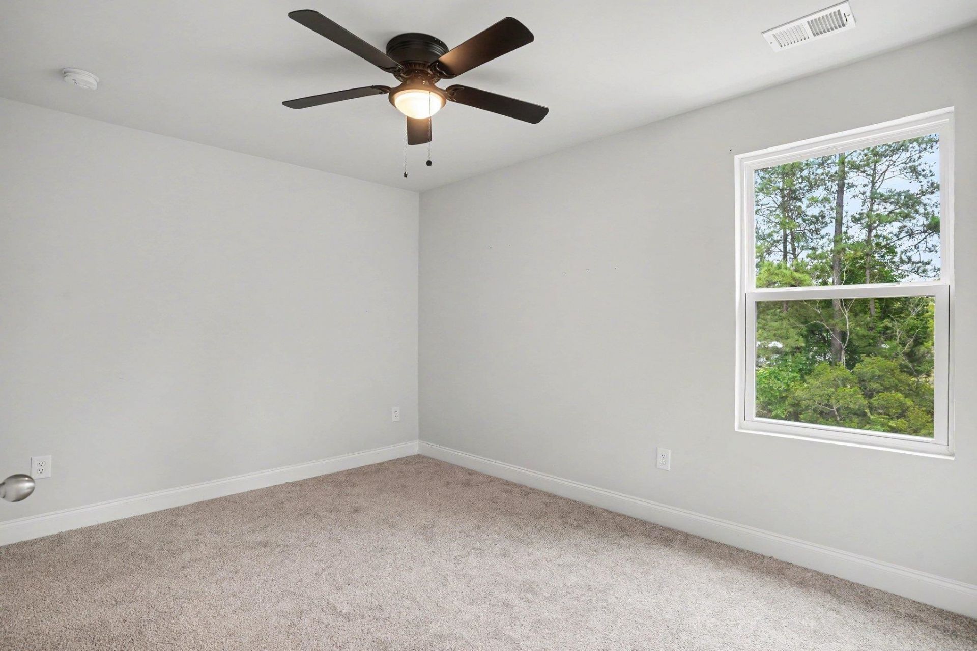 2449 Campton Loop Photo 27