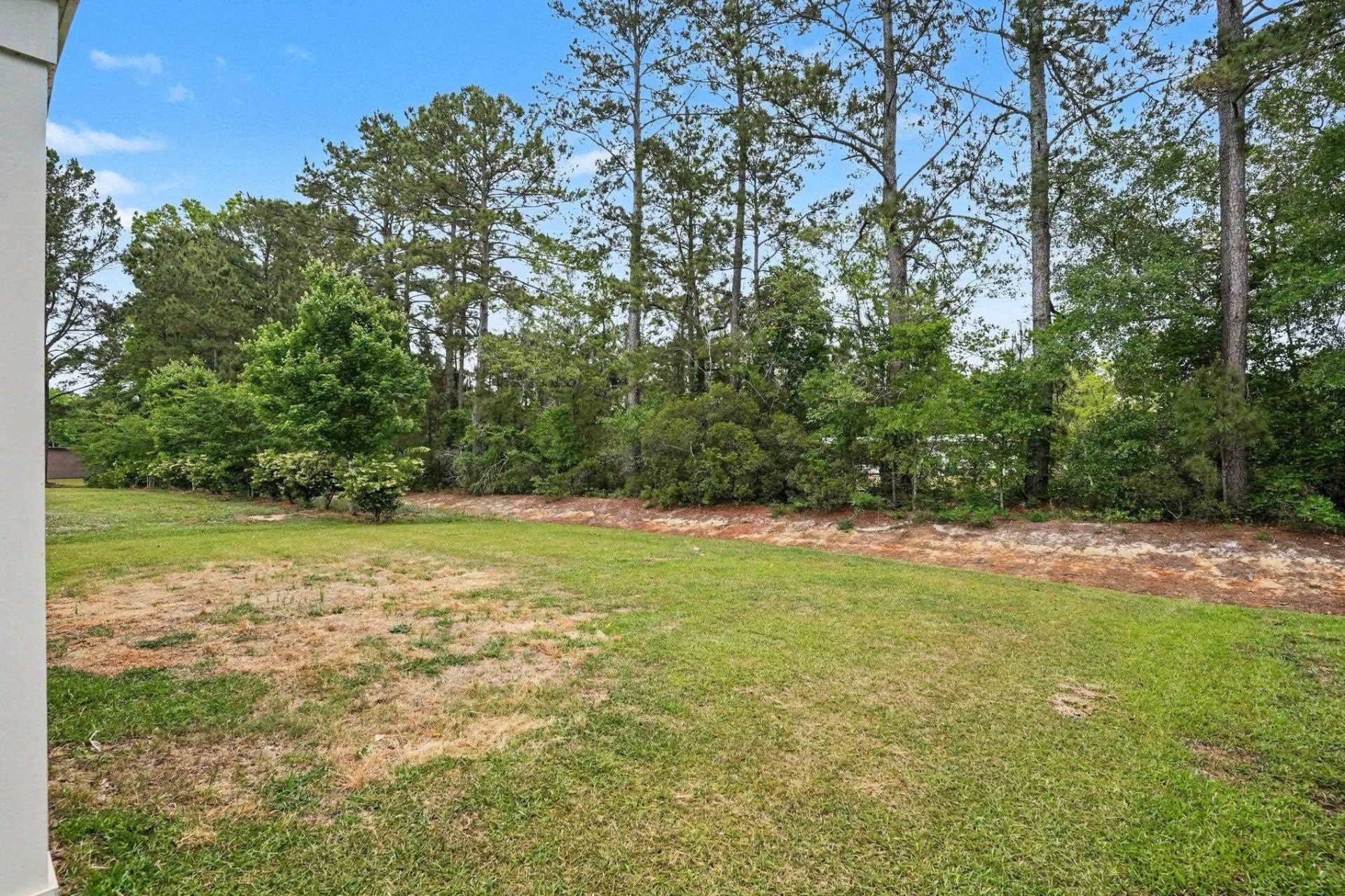 2449 Campton Loop Photo 34