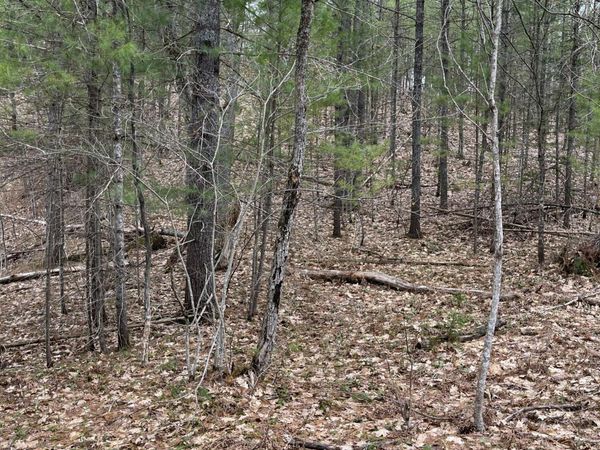2687 Birchcrest Drive, Kalkaska, MI 49646