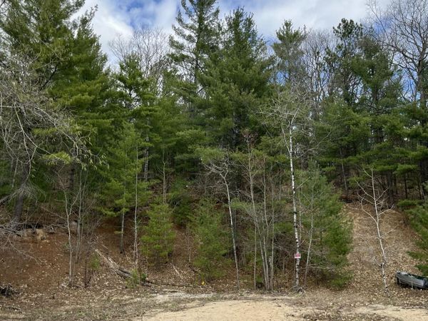 2687 Birchcrest Drive, Kalkaska, MI 49646