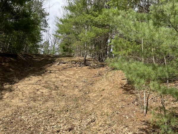 2687 Birchcrest Drive, Kalkaska, MI 49646