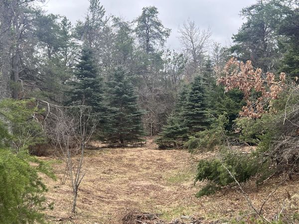 32 AC E Railroad Trail, Grayling, MI 49738