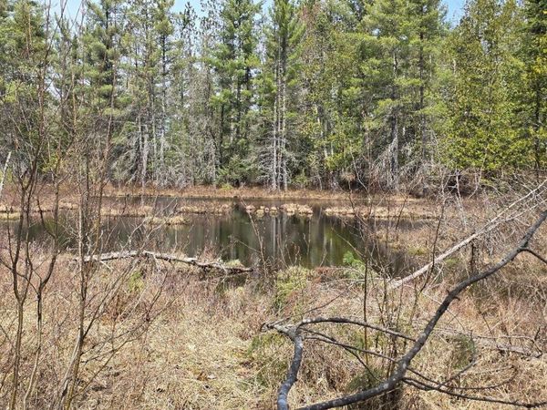 13991 Royston Road, Hawks, MI 49743