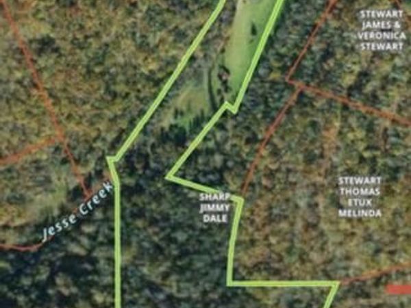 0 Stewart Lane S/O, Pall Mall, TN 38577