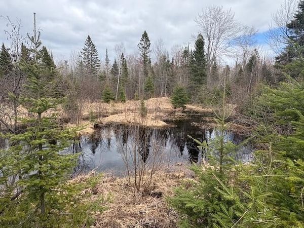 27590 S Raber RD, Goetzville, MI 49736