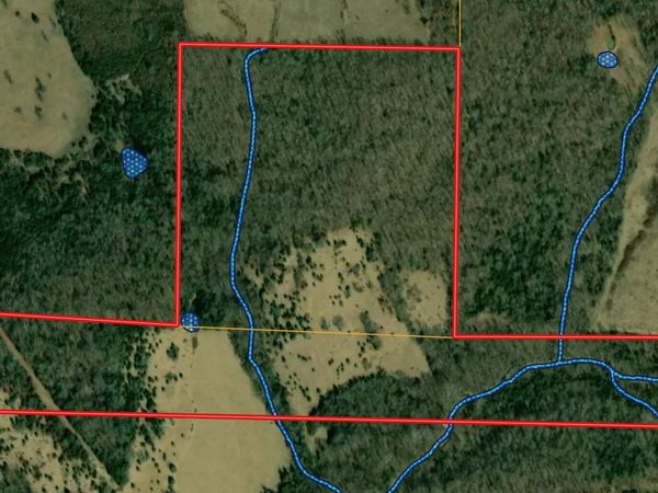 0 County Road 250-80 , Drury, MO 65638