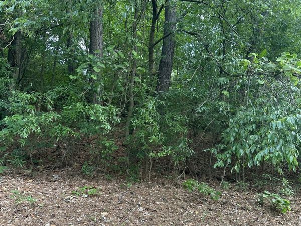 0 Ada Street, Royston, GA 30662