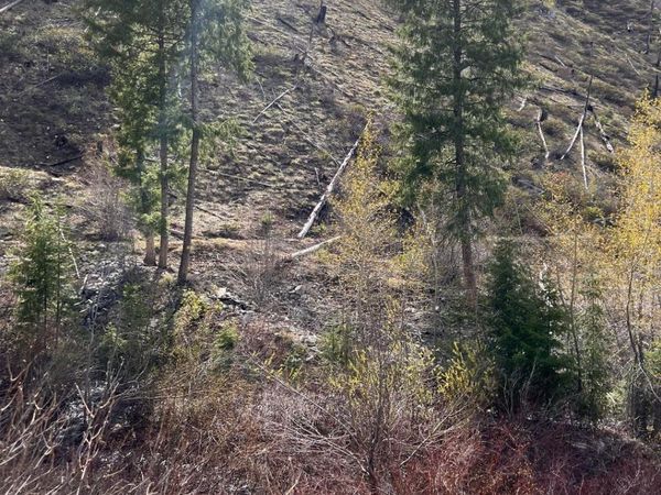 Quartz Creek Rd., Atlanta, ID 83647