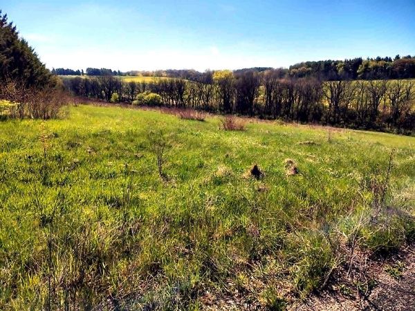 Lot 13 Holly Lane, Belleville, WI 53508
