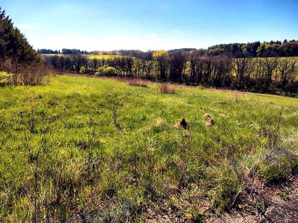 Lot 13 Holly Lane, Belleville, WI 53508