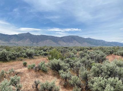 446-525 Honey Lake, Herlong, CA 96113 Photo