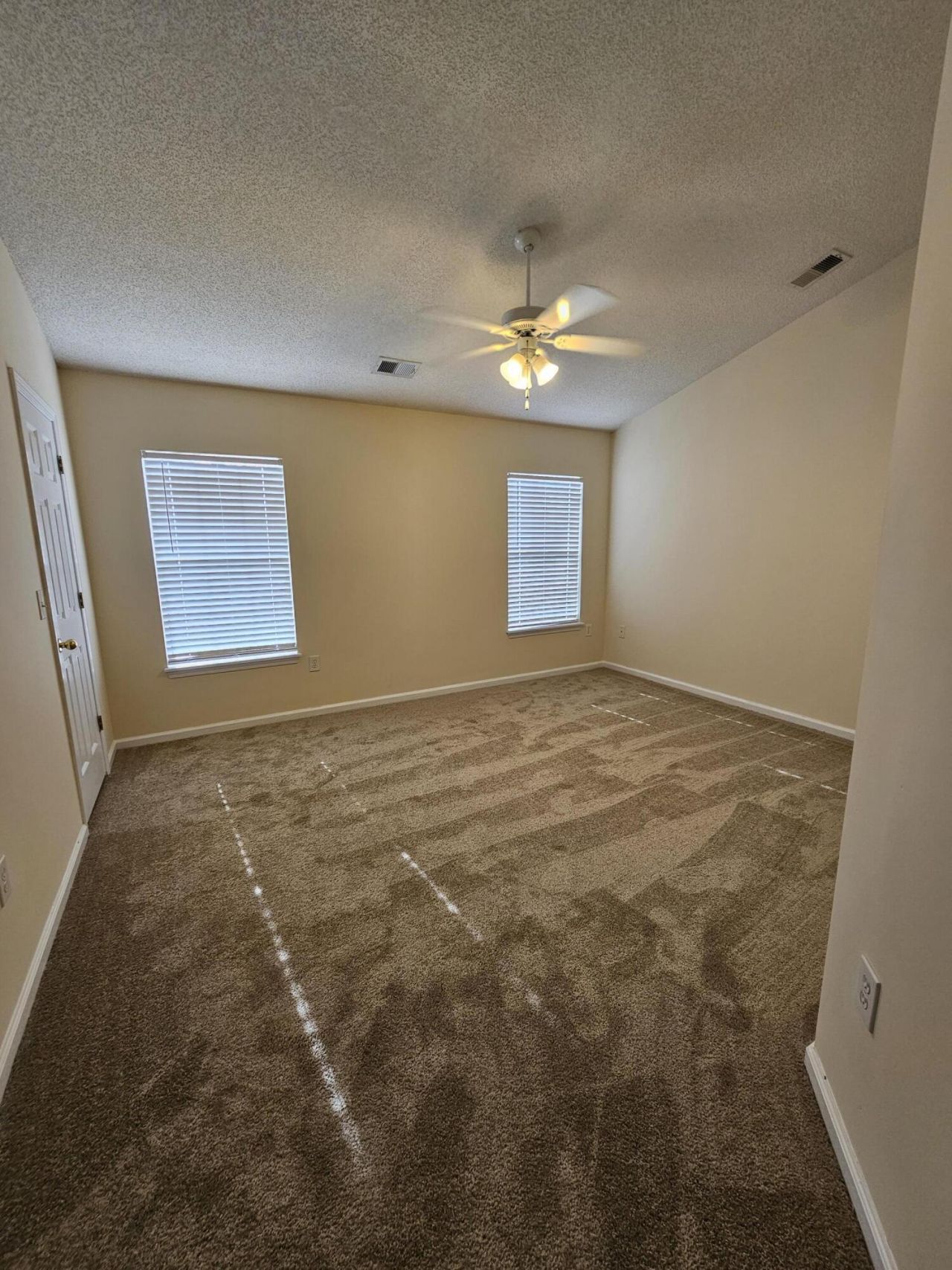 1316 Pinyon Pine Drive Photo 10