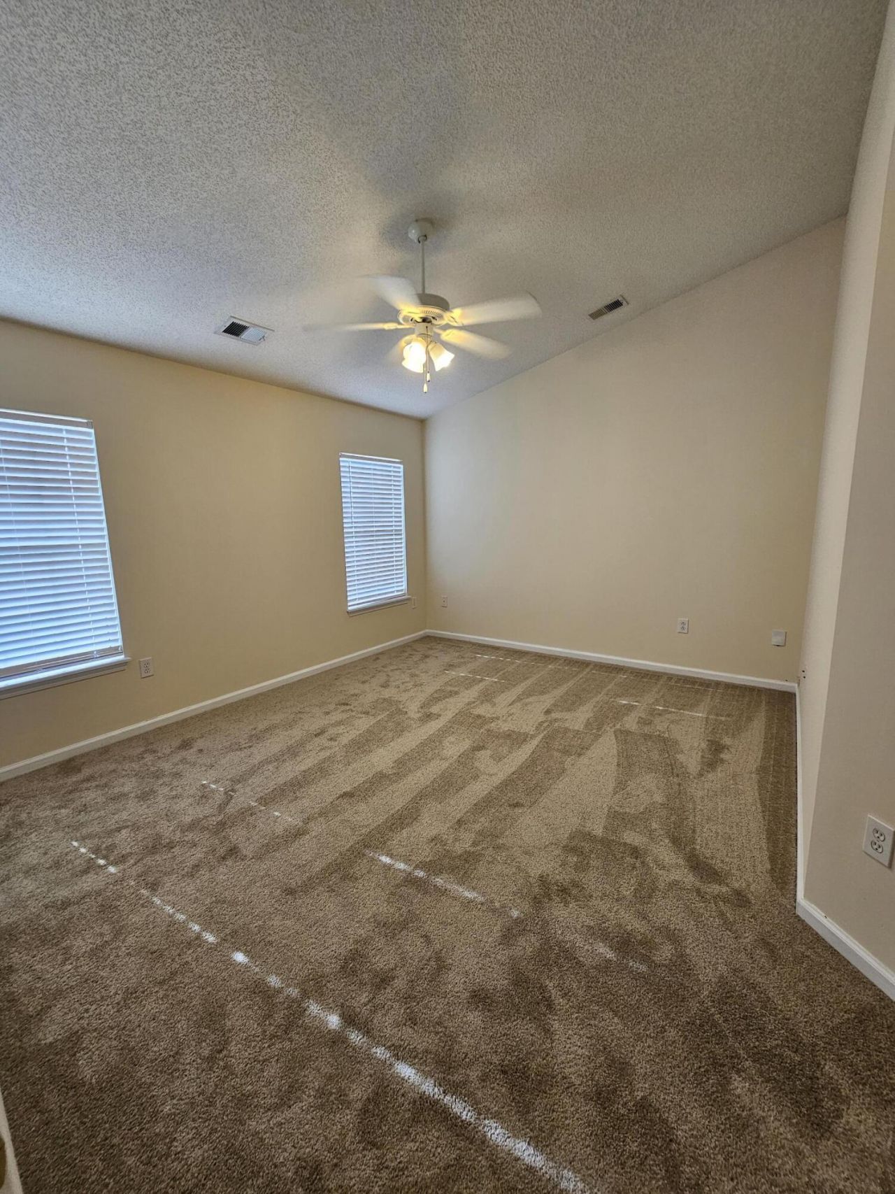 1316 Pinyon Pine Drive Photo 11