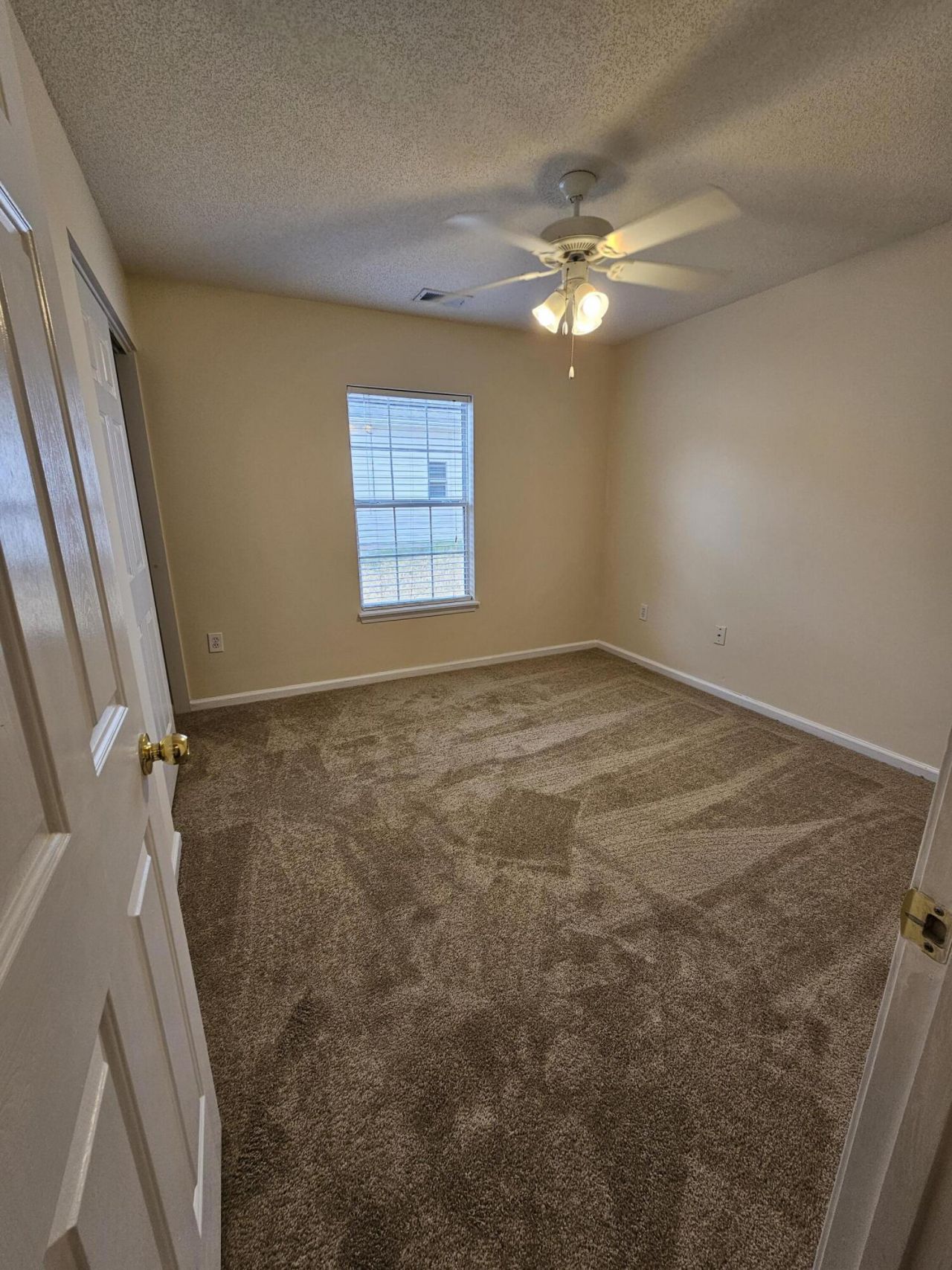 1316 Pinyon Pine Drive Photo 7