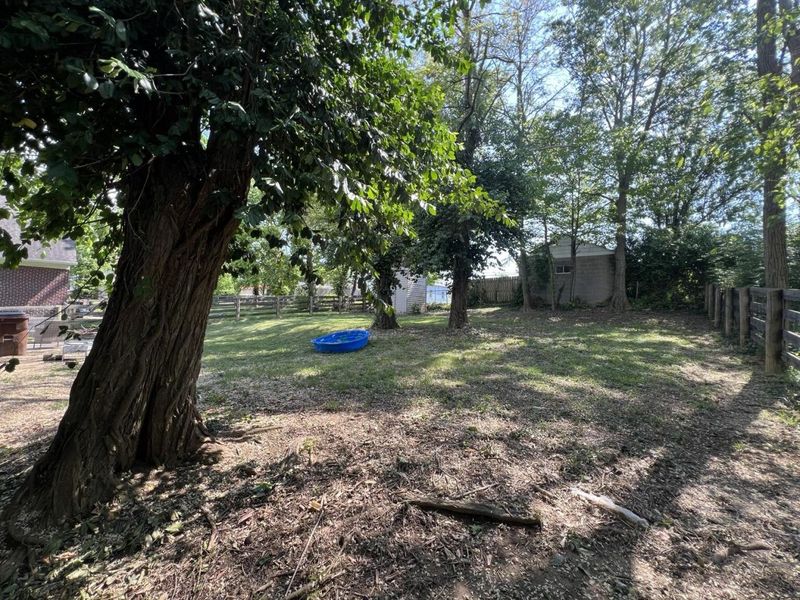 38 Short Vine Street, Elsmere, KY 41018 Photo 19