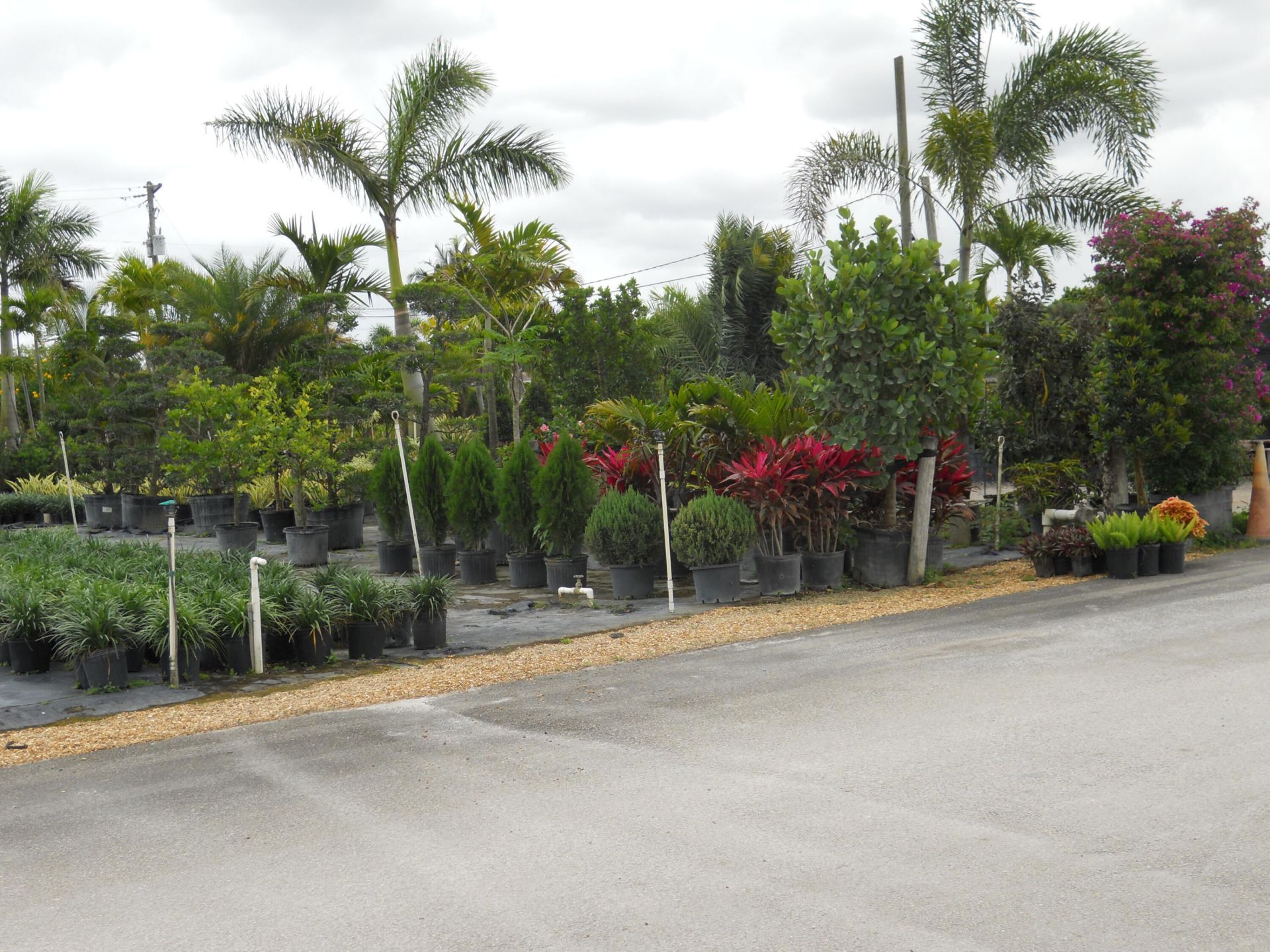 0000 Boynton Beach Blvd, Boynton Beach, FL 33474 Photo