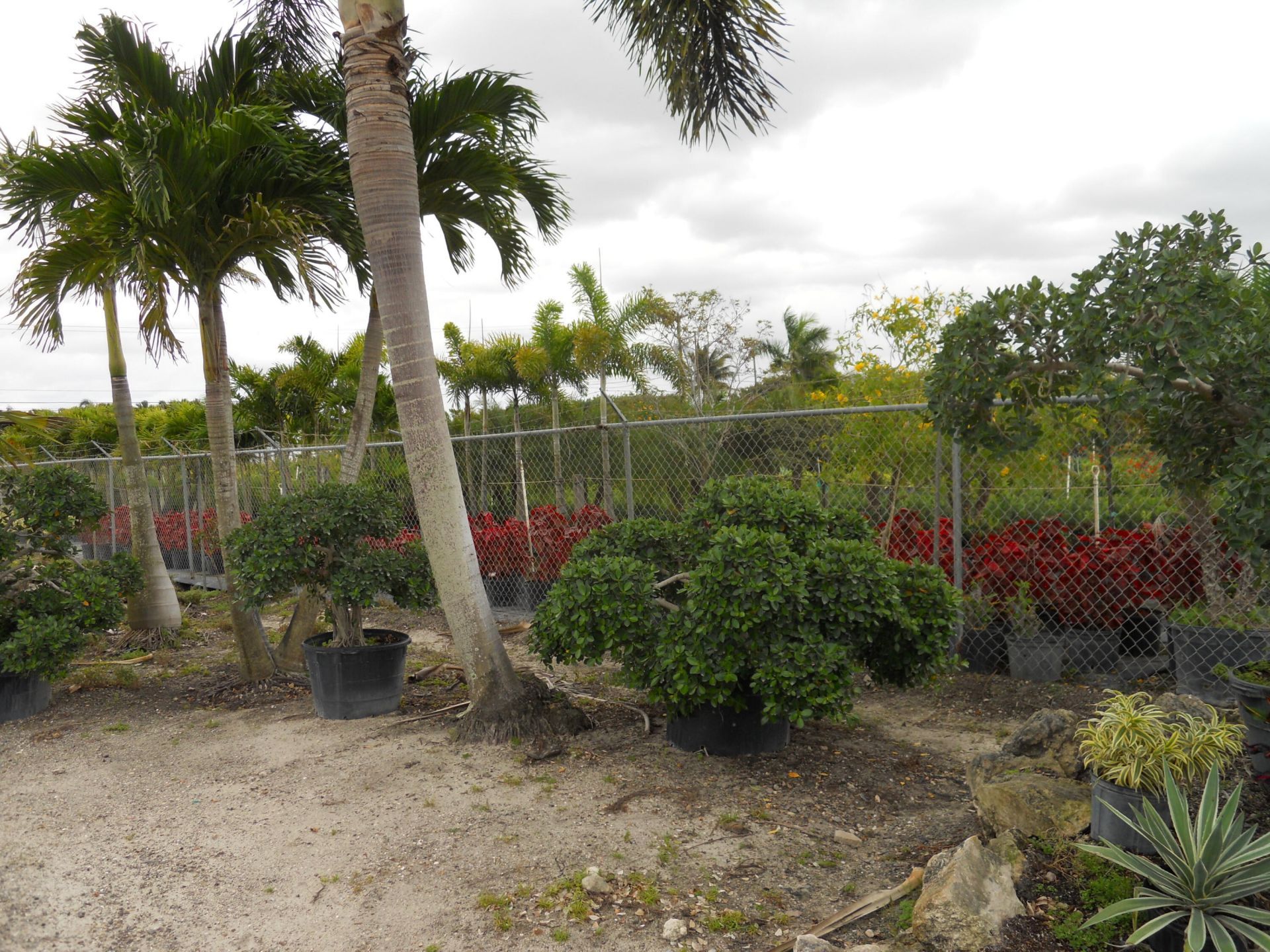 0000 Boynton Beach Blvd, Boynton Beach, FL 33474 Photo