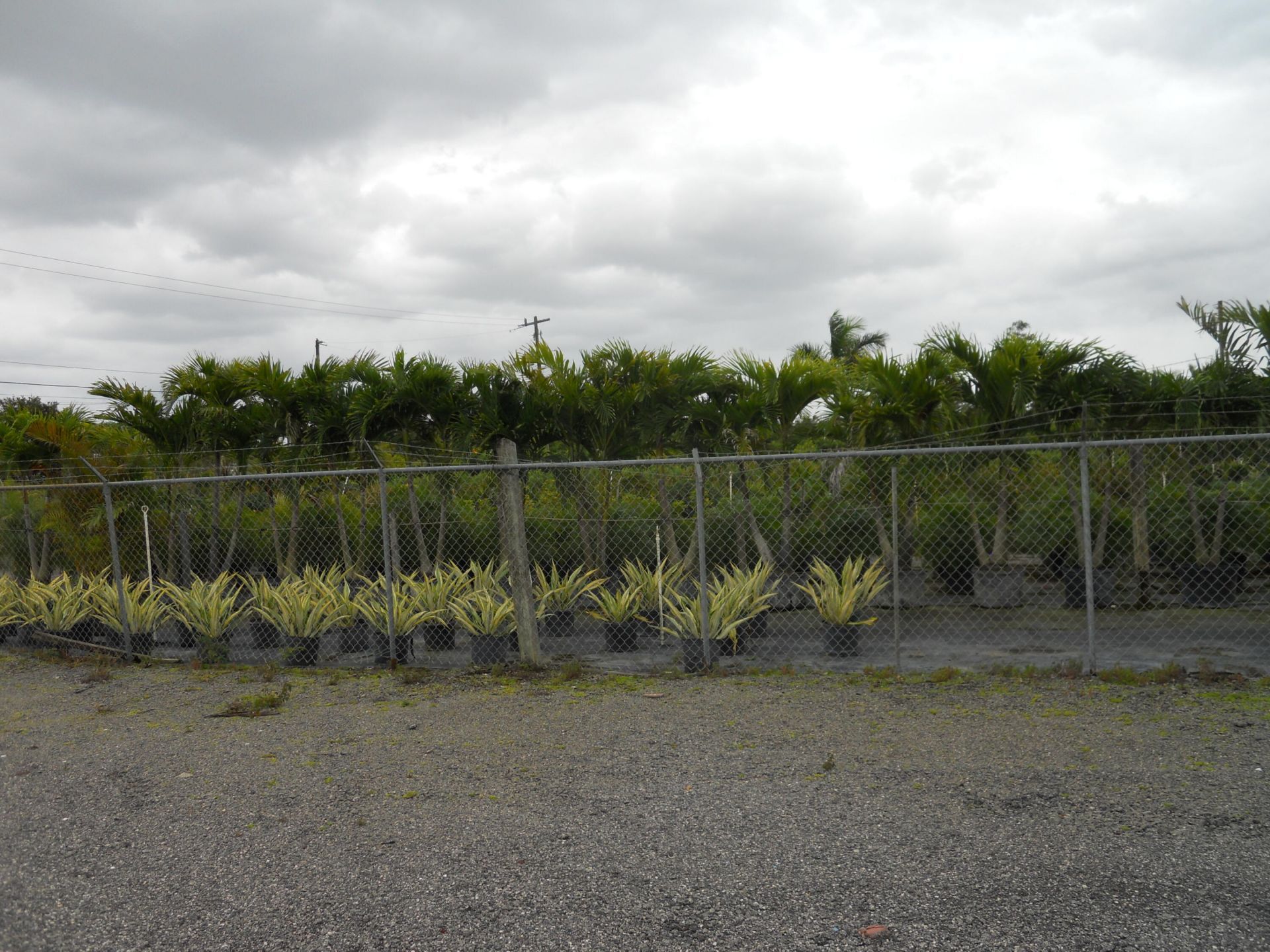 0000 Boynton Beach Blvd, Boynton Beach, FL 33474 Photo