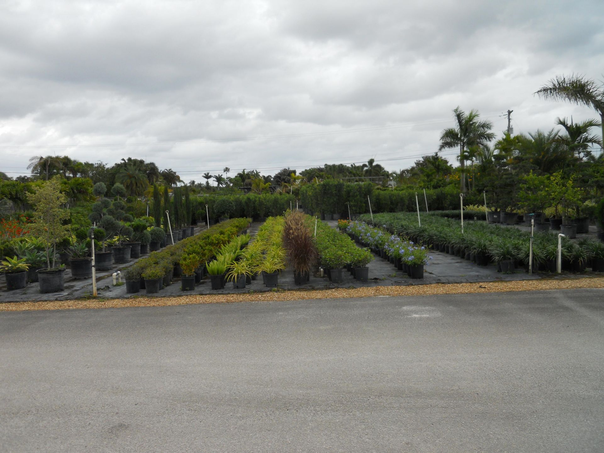 0000 Boynton Beach Blvd, Boynton Beach, FL 33474 Photo